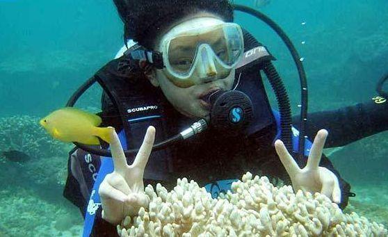 笑脸球的冒险之旅
